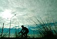 Steve Harper - Bike Trail